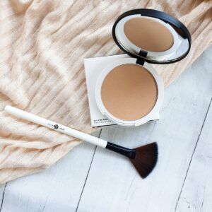 Lily Lolo Brush Small Fan